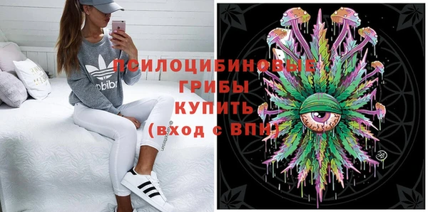 прущая мука Горняк